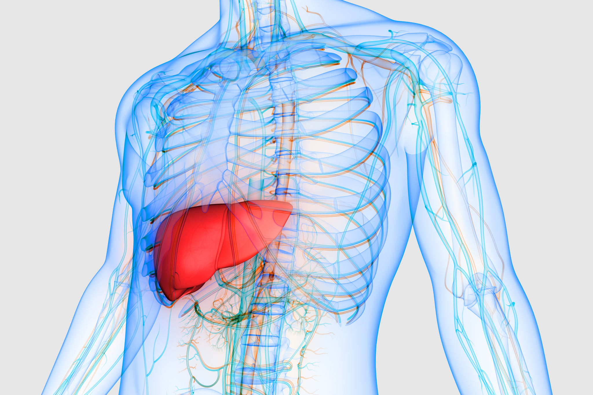 Experience Across Hepatology Indications